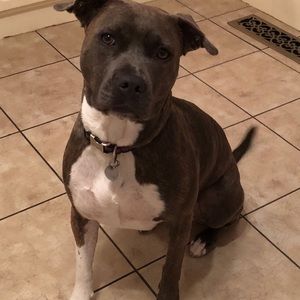 Meet your Posher, Gloria